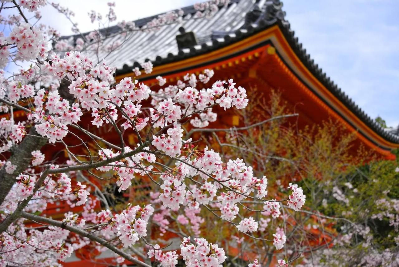 Stay Sakura Kyoto Suzaku Oji מראה חיצוני תמונה
